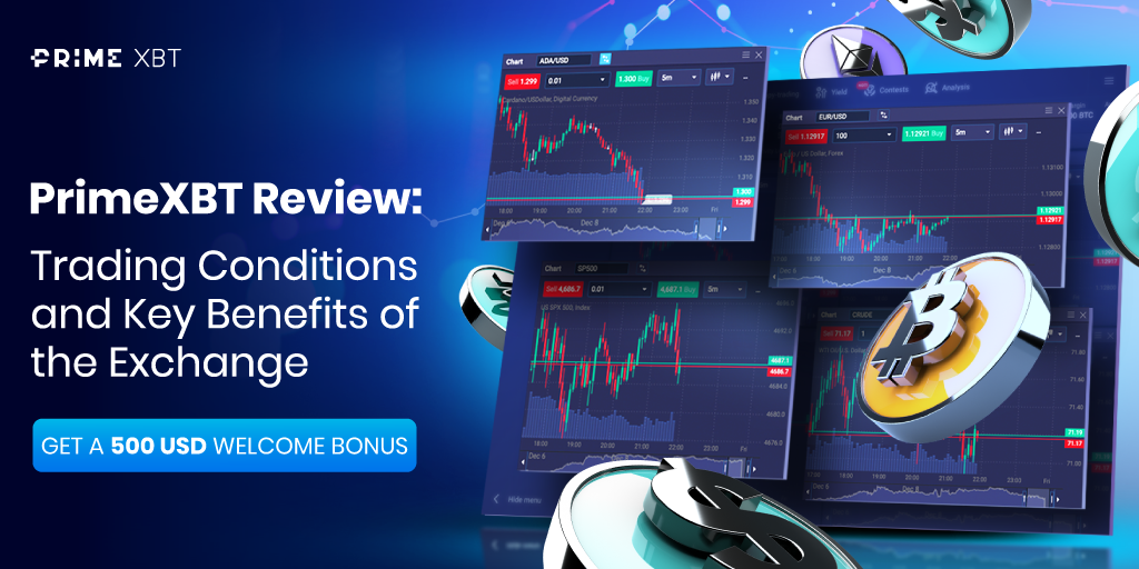 A Comprehensive Guide to PrimeXBT Copy Trading